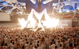 Sensation White