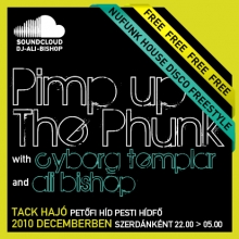 Pimp Up The Phunk flyer