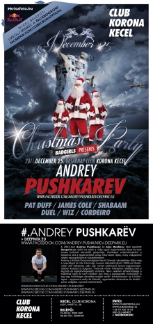 Christmas Party flyer