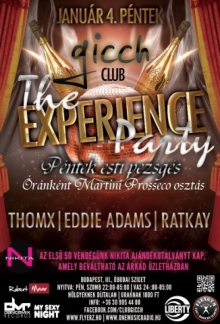 The Experience Party flyer